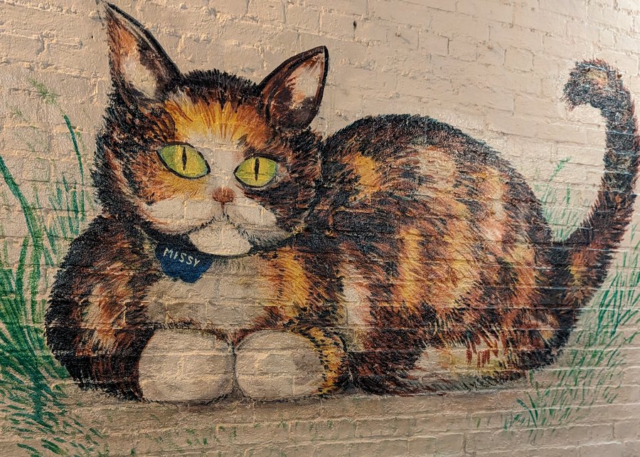Missy, the calico cat mural at 3 Miles House